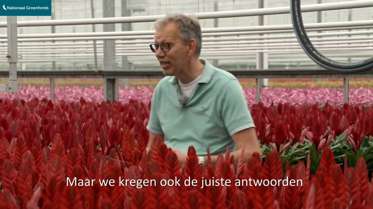 LKP Plants: financiering duurzame bromelia kweker. Minder gas, minder CO2