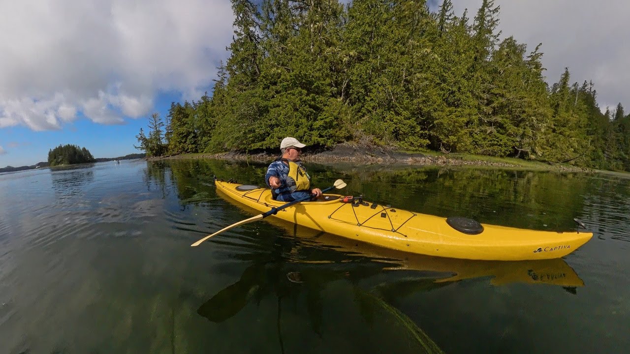 Kayaking Tofino: Timeless Wonders of Ancient Forests and Majestic Islands
