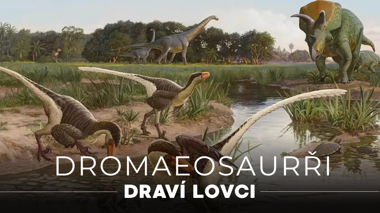 Dromeosauři: Podivní masožravci druhohorní éry