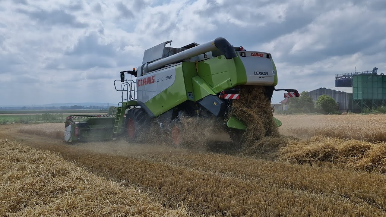 Žně 2024//Sklizeň Ječmene 2024//s Claas Lexion 550