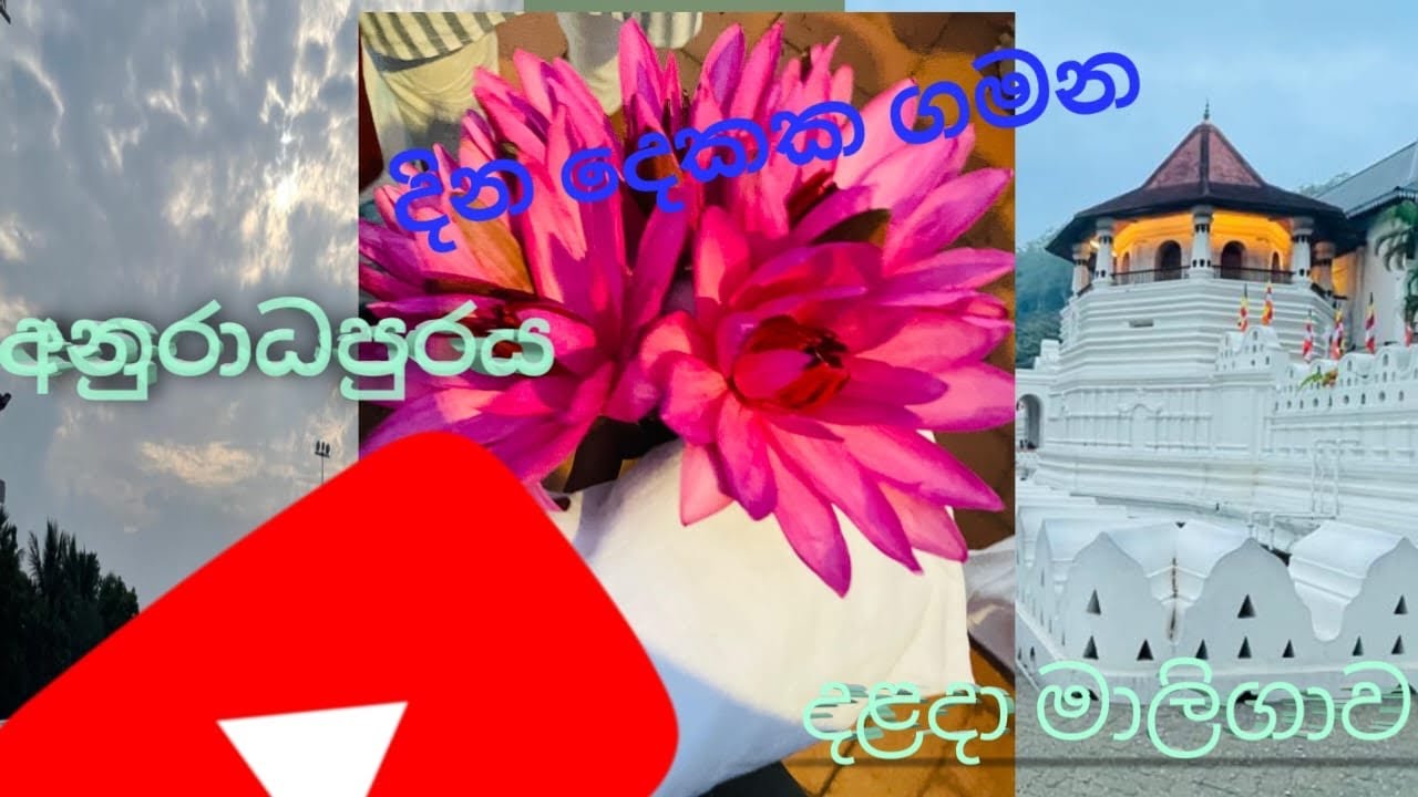 නුවර & අනුරාධපුර Trip | 2 Days Vlog | First Time on YouTube