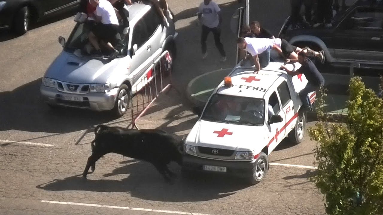 Arrabal de Portillo 2024 Los Toros Dando a Los Coches