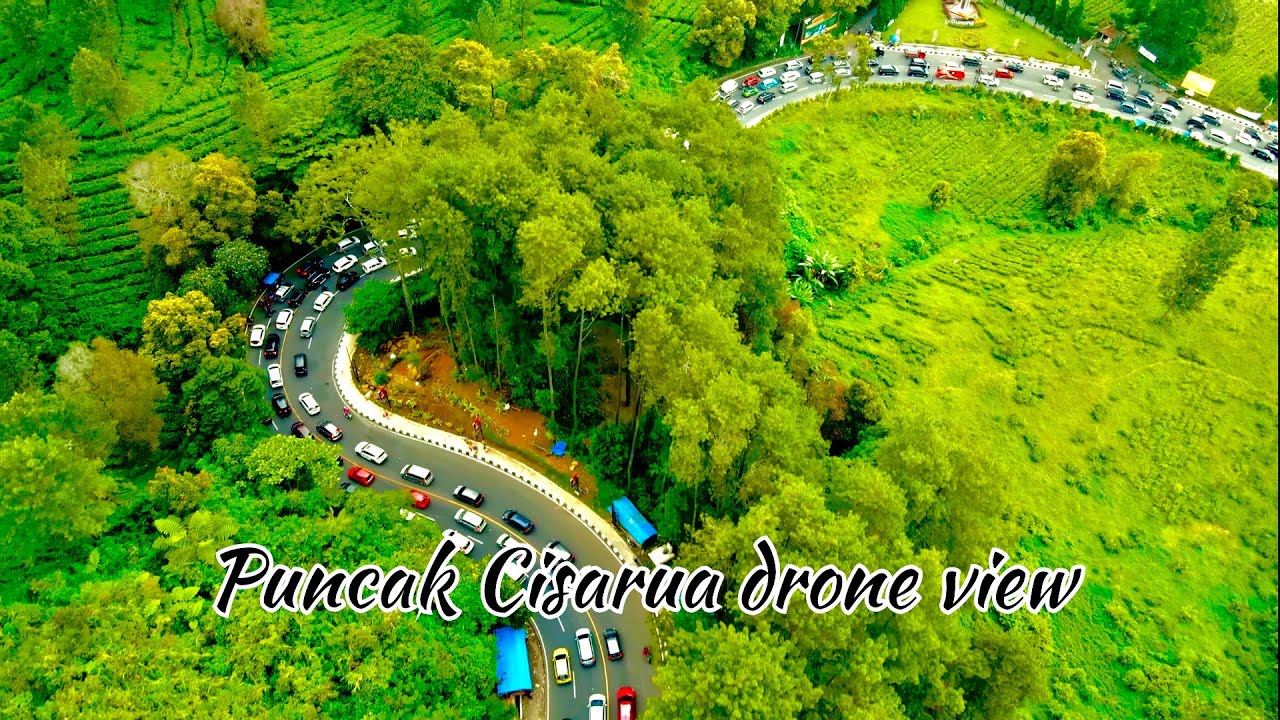 Puncak Cisarua Drone View | 4k