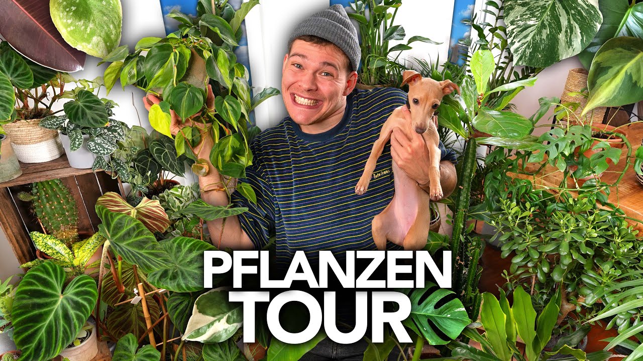XXL PFLANZEN-TOUR DURCH'S KOMPLETTE HAUS | Joey's Jungle Plants