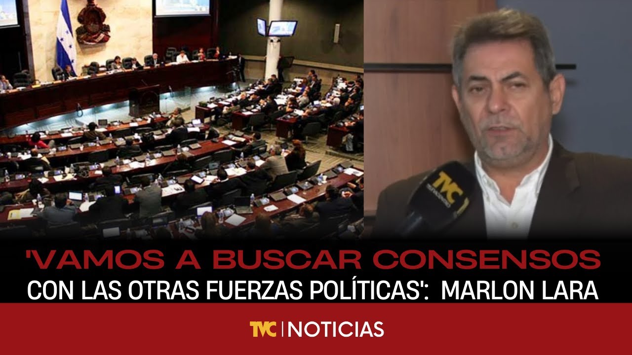 Yuri Sabas"Nosotros proponemos que presida el Congreso Nacional un liberal", diputado electo PLH.
