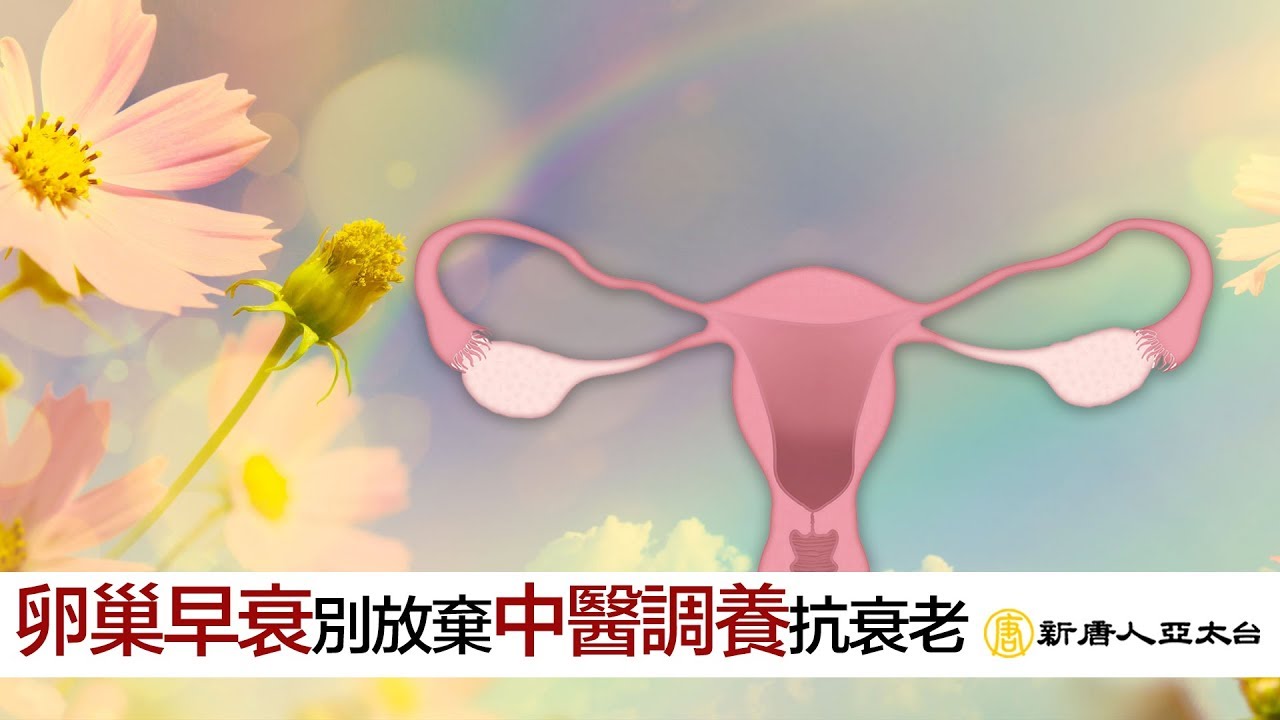 『卵巢早衰』別放棄 中醫『暖宮養巢』抗衰老 提高受孕率 | 談古論今話中醫(476)