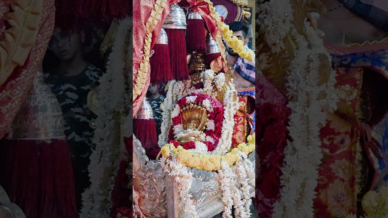 March 19th Nitya Utsav at Kukke Subrahmanya 🙏 | Devotees' devotional scenes #Shorts
