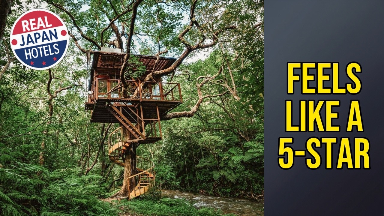 Treeful Treehouse Sustainable Resort - Feels Like a 5-Star | Okinawa Main island, Japan🏩