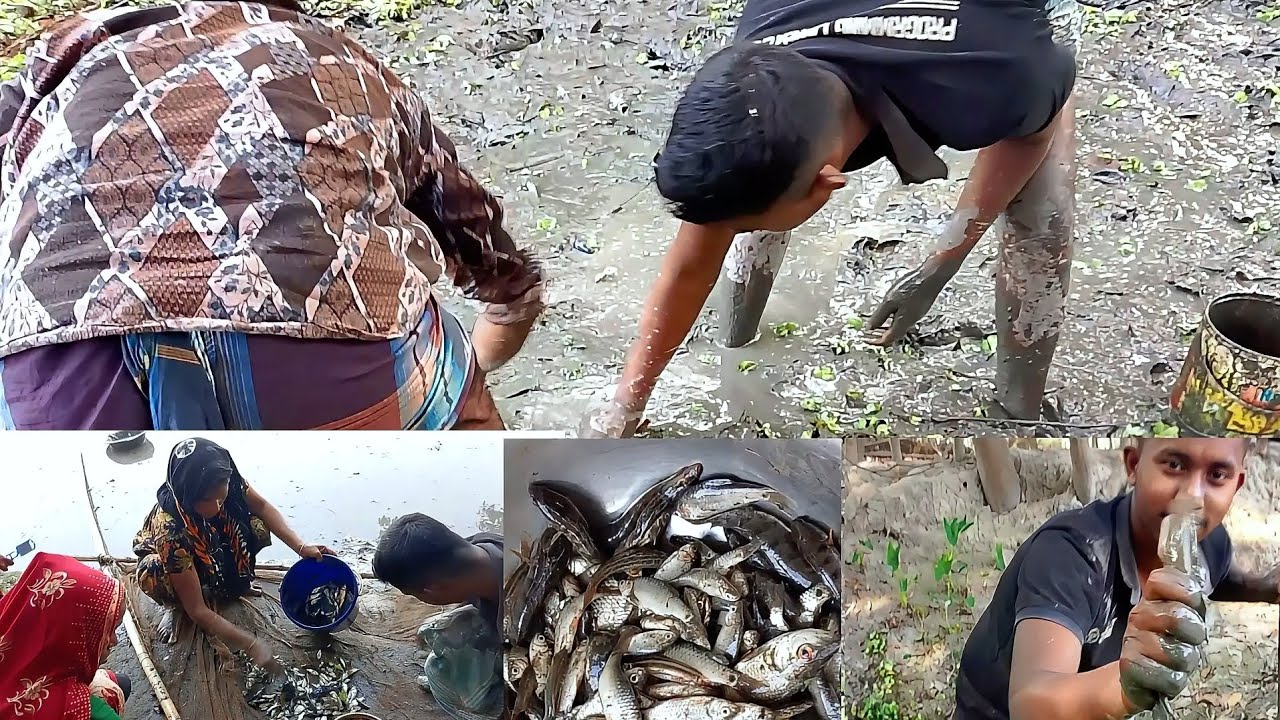 মাছ ধরার ভাইরাল ভিডিও 🙂 আজকে কাকা তাদের পুকুর সেচ দিয়ে অনেক মাছ ধরলো 🙀✌️#vairalvideo #foryou #fish 