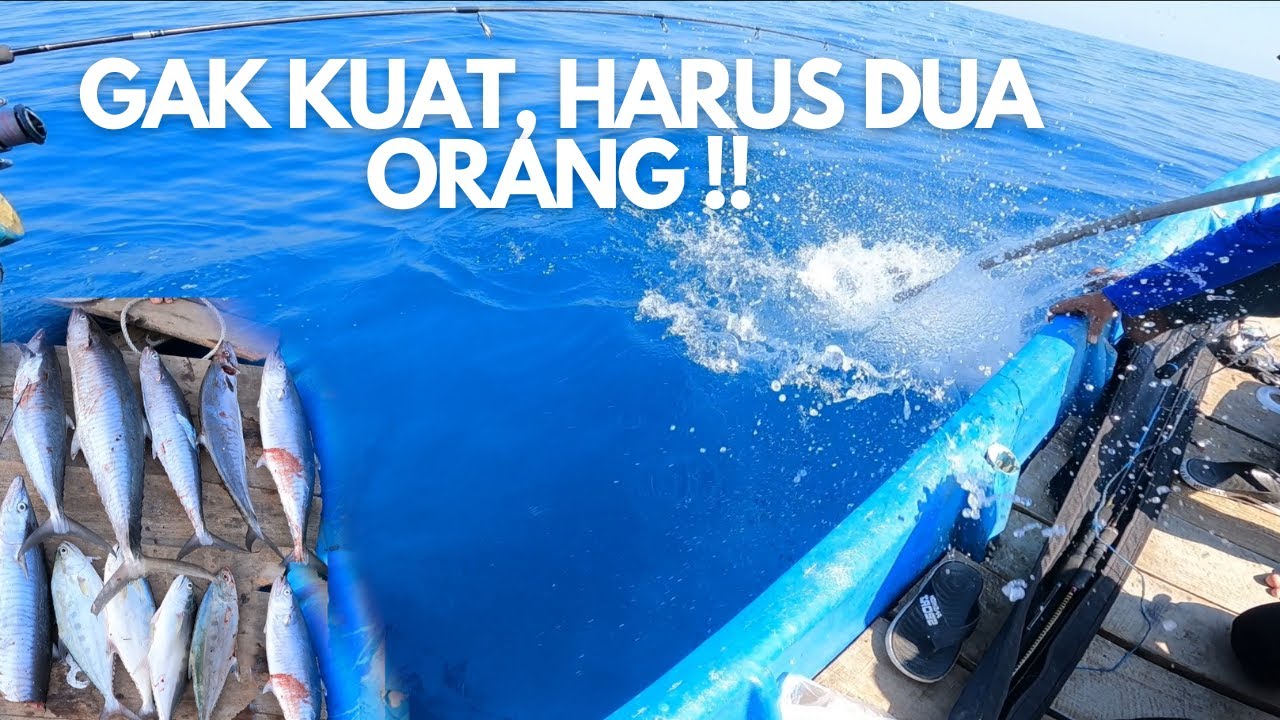 BOILING TENGGIRI BESAR, SATU PERAHU BERGOYANG DIBUATNYA