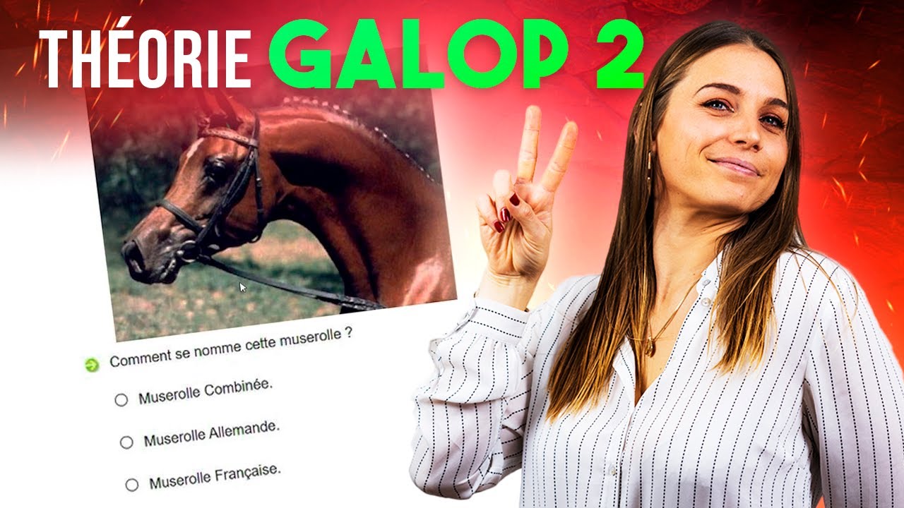 LA THEORIE DU GALOP 2, on révise ensemble ? - DWH 2.0