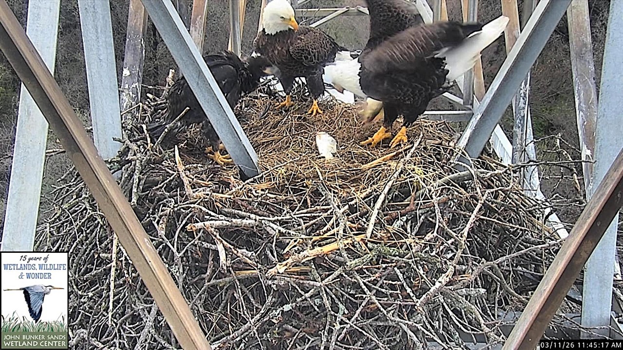 JBS Tower Eagles ~ Mom loses JBS 24's lunch... twice 🤣~ 3/11/2026