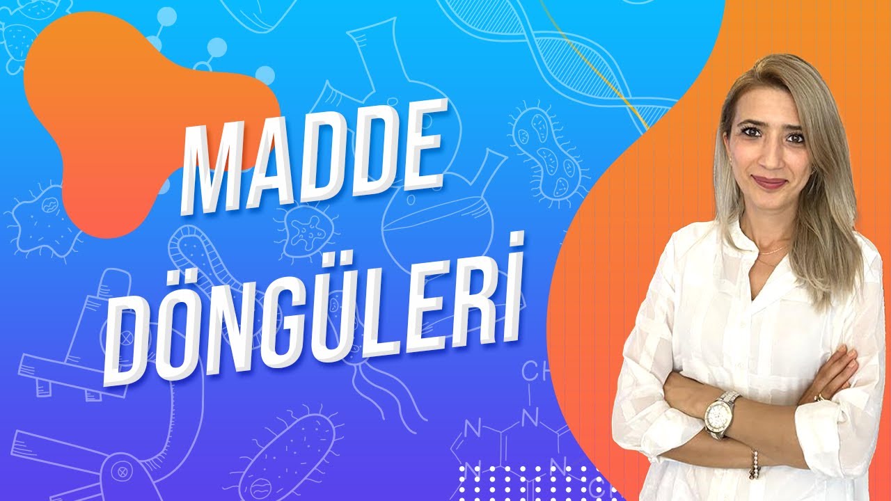 (43.DERS) MADDE DÖNGÜLERİ | TYT 10.SINIF l Seda Hoca Biyoloji 🤗