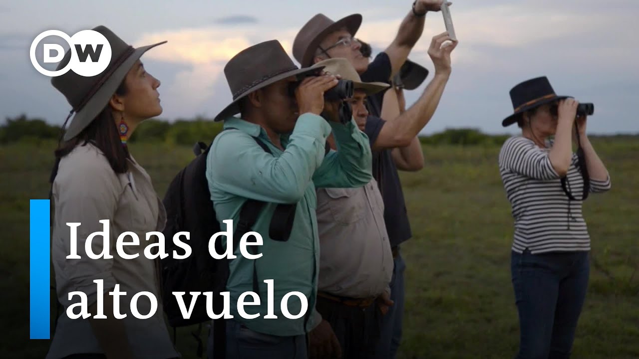El potencial del aviturismo en Colombia