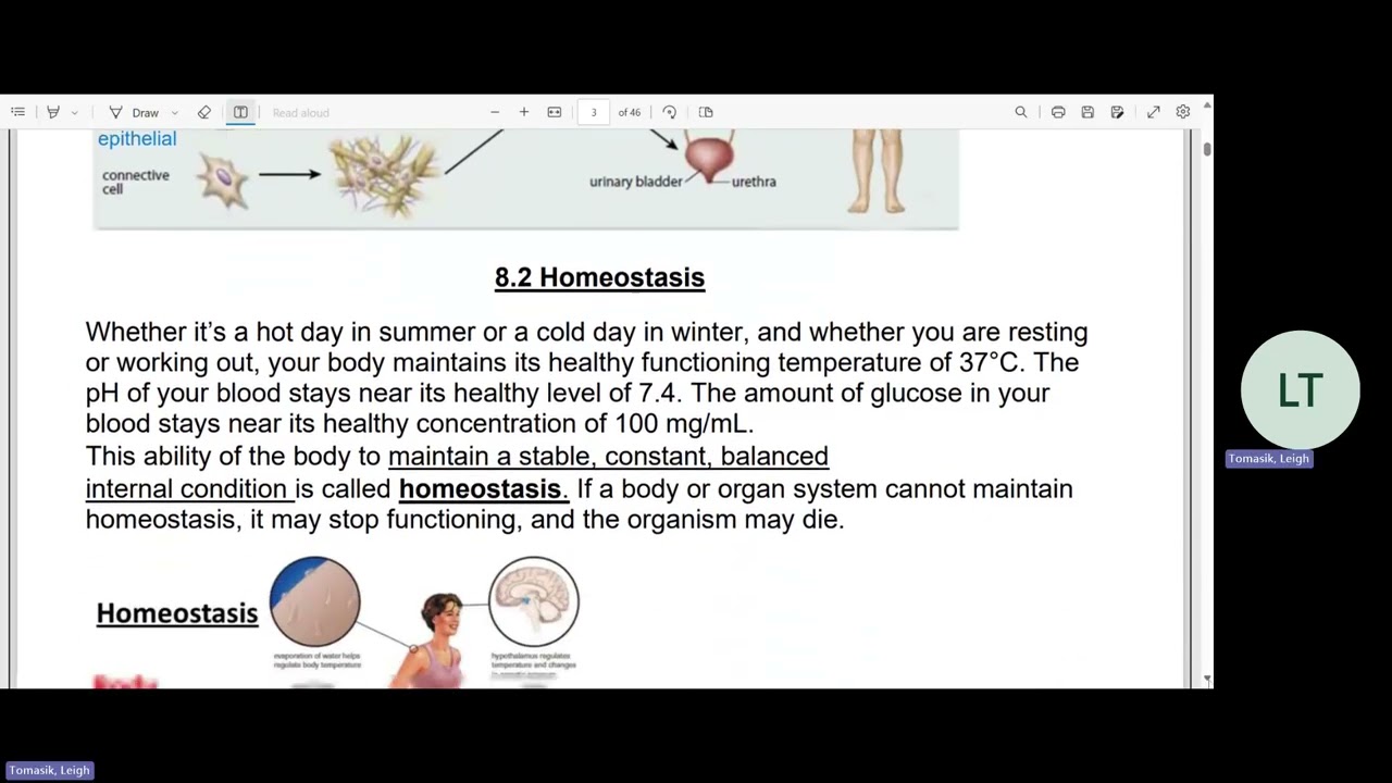 SBI3C Unit 4   Anatomy   Lesson 1   Organ Systems and Homeostasis