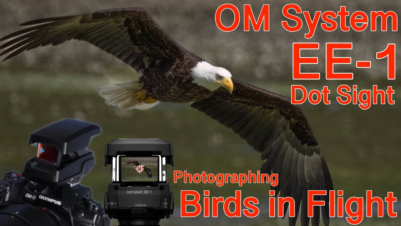 OM Systems / Olympus EE-1 Dot Sight: An Essential Accessory for Photographing Birds in Flight