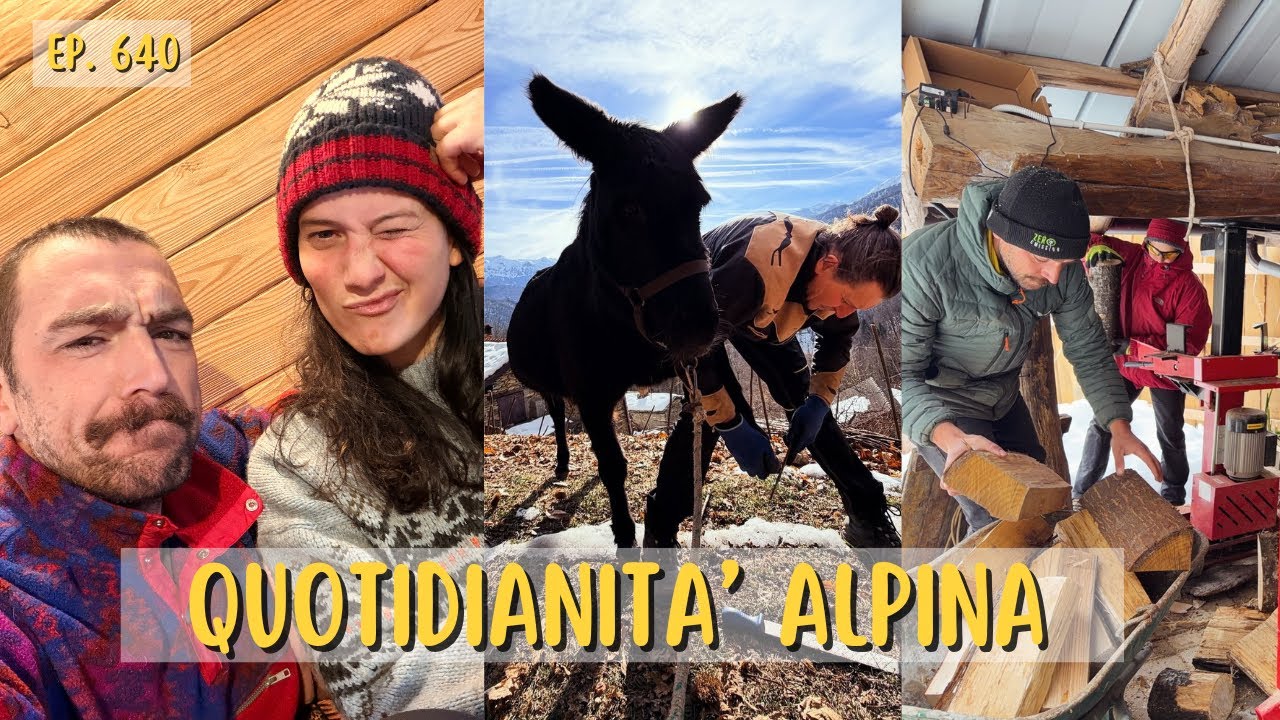 Ma voi cosa fate in inverno? - Ep. 640 - Vivere in montagna oggi