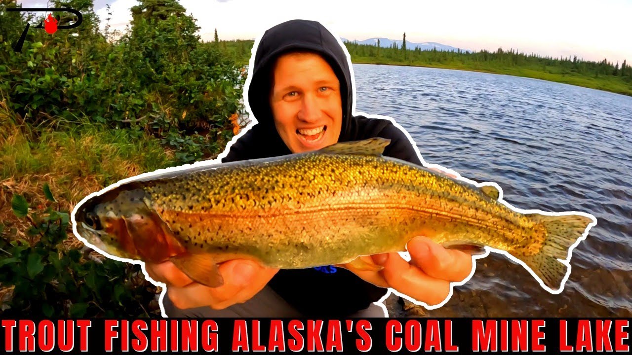 Trout Fishing Alaska's Coal Mine Lake