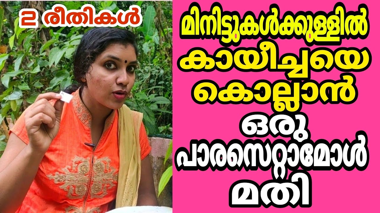 കായീച്ചകെണി രണ്ടുരീതിയിൽ ഉണ്ടാക്കുന്നത് കാണാം |Kayeecha keni | fruit fly trap making at home easily