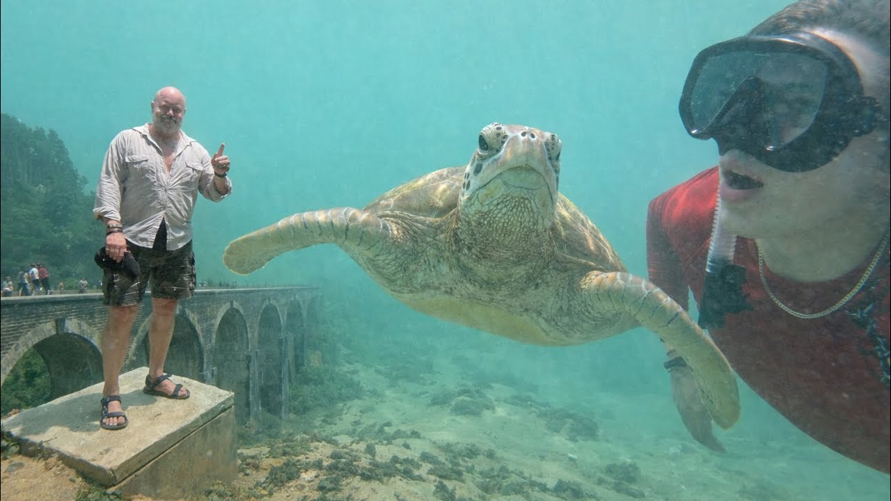 Max & Papa&rsquo;s Wild Start in Sri Lanka &ndash; Turtles & Ella Town!
