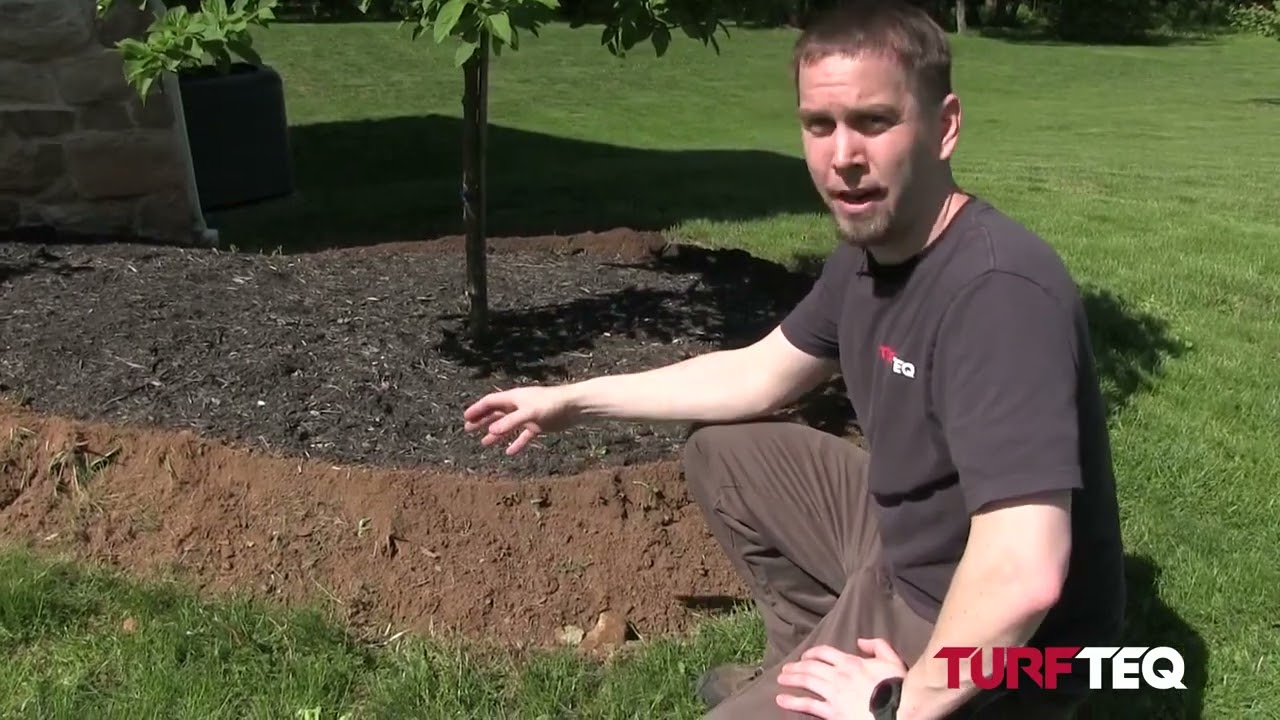 Bed Edging in Rocky Soil with the Power Edger and making tree rings