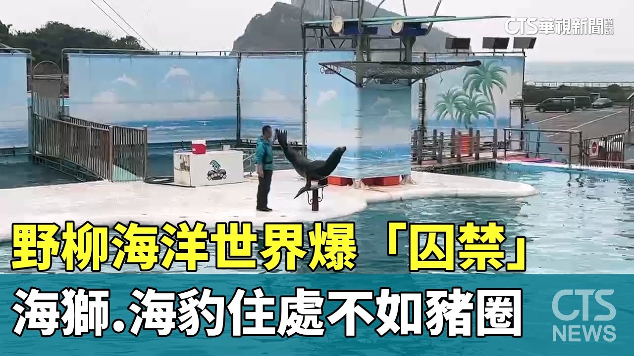 野柳海洋世界爆「囚禁」　海獅.海豹住處不如豬圈｜華視新聞 20260106 @CtsTw