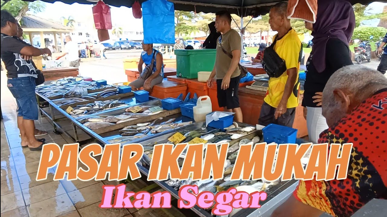 Pasar Ikan Mukah, Sarawak || Ketibaan Perahu Nelayan dan Hasil Ikan Segar.