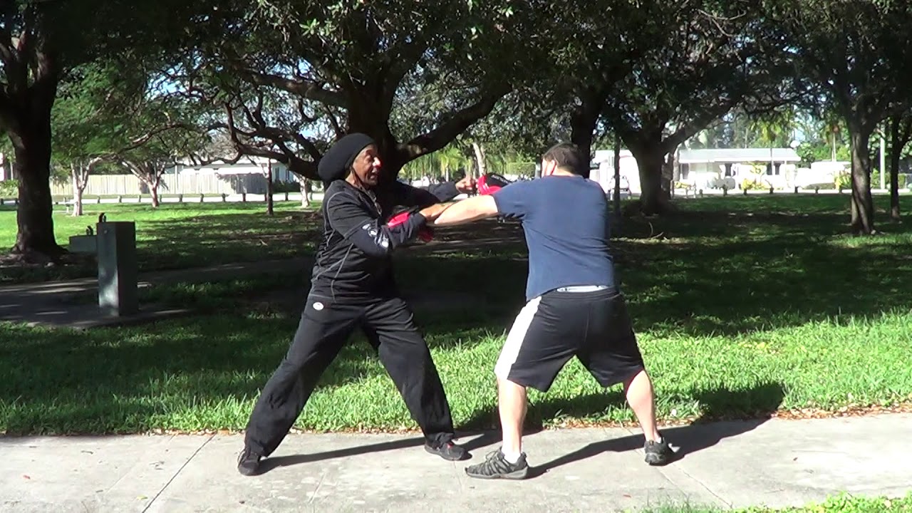Bruce Lee's Jeet Kune Do - How To Use Jeet Kune Do's 5 Ways of Attack