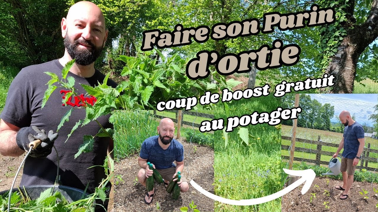 Comment faire son purin d'ortie.