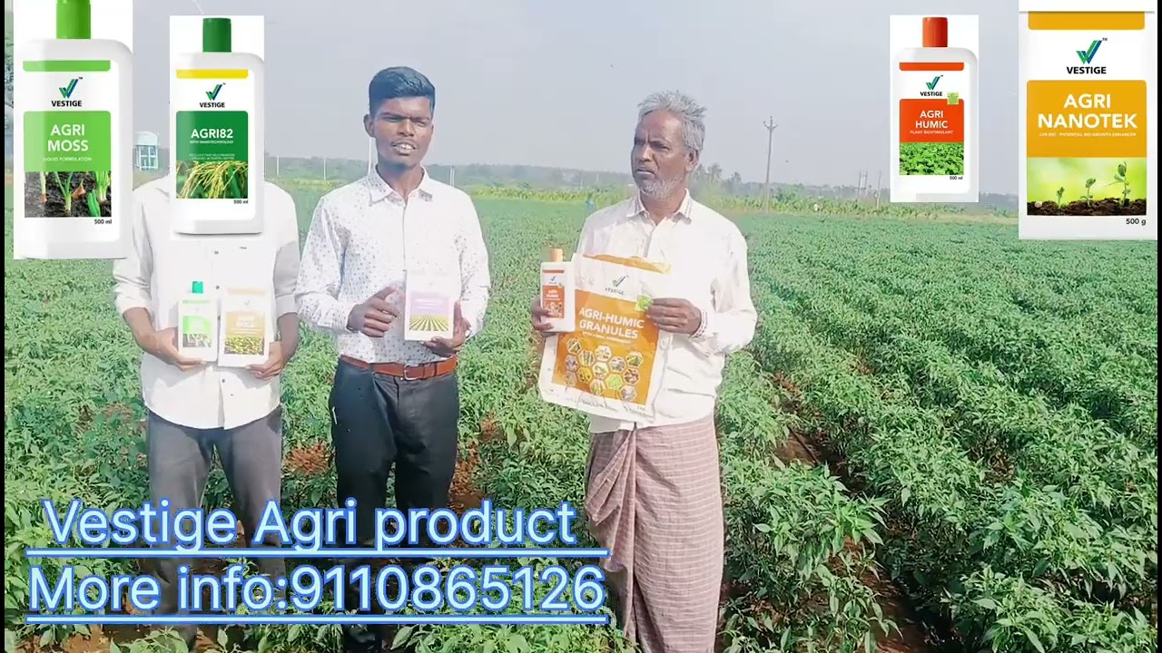 Vestige Agriculture product wonderful results 