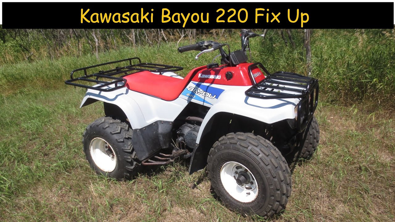Kawasaki Bayou 220