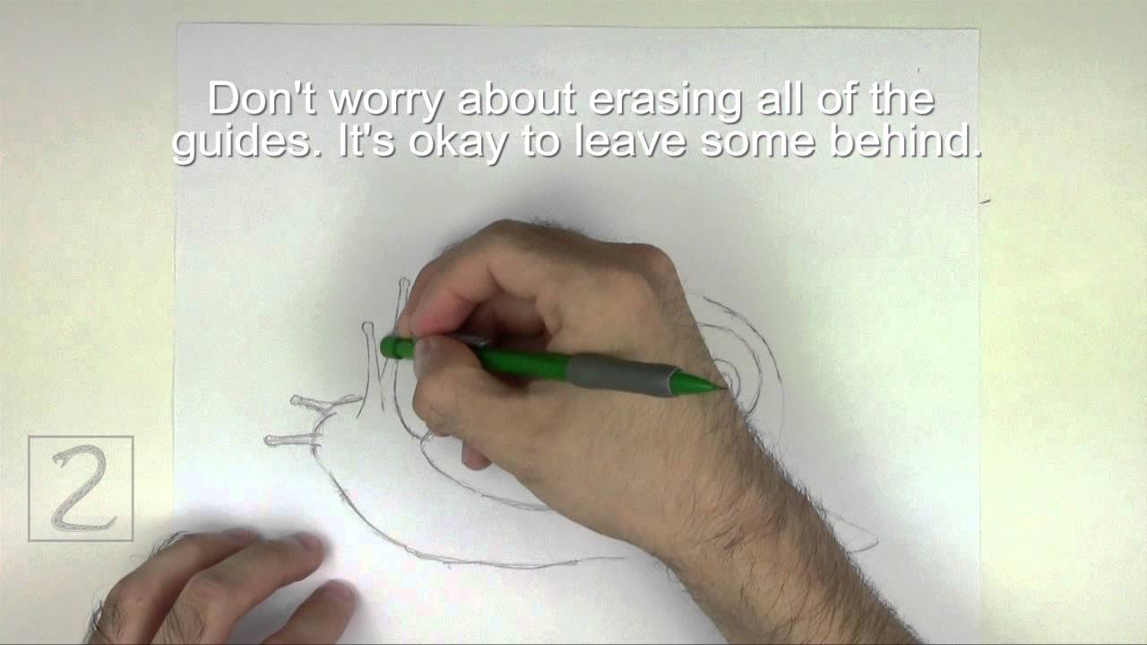How to Draw a Snail