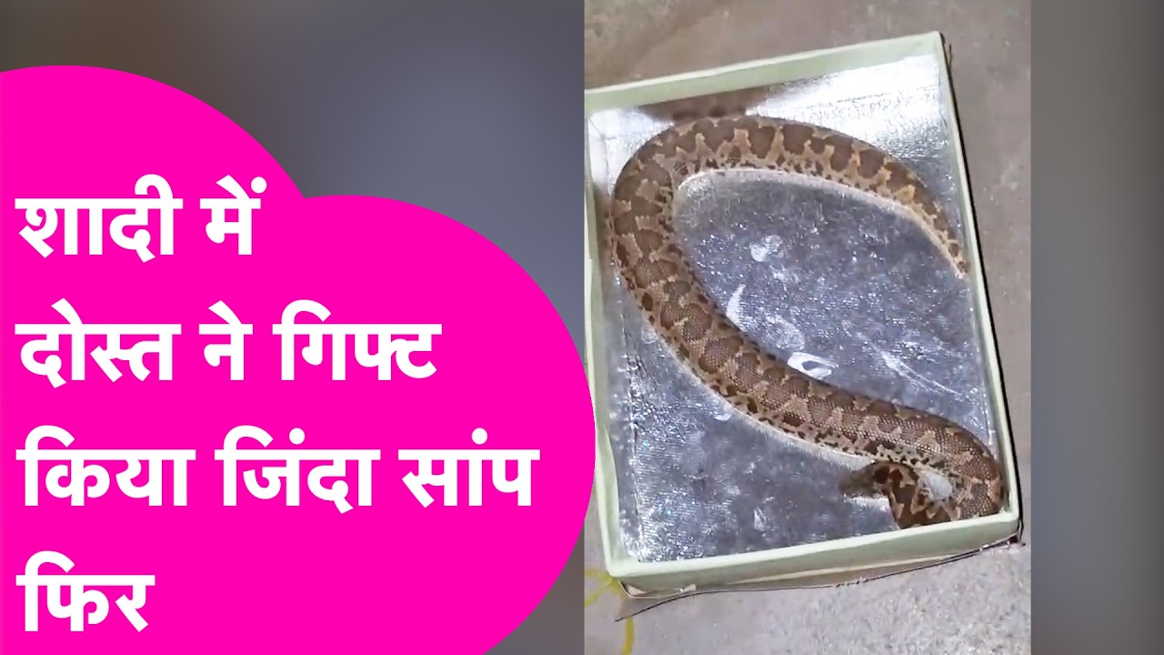 Rohtas News: दोस्त की शादी में दिया ऐसा गिफ्ट, चकरा जाएगा माथा | Bihar Tak