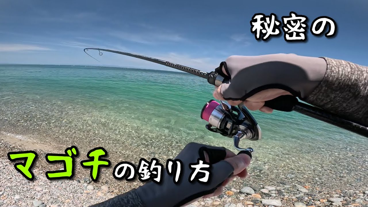 【釣れる解説】真昼のマゴチを始めてみたい方へ #釣り #フラットフィッシュ