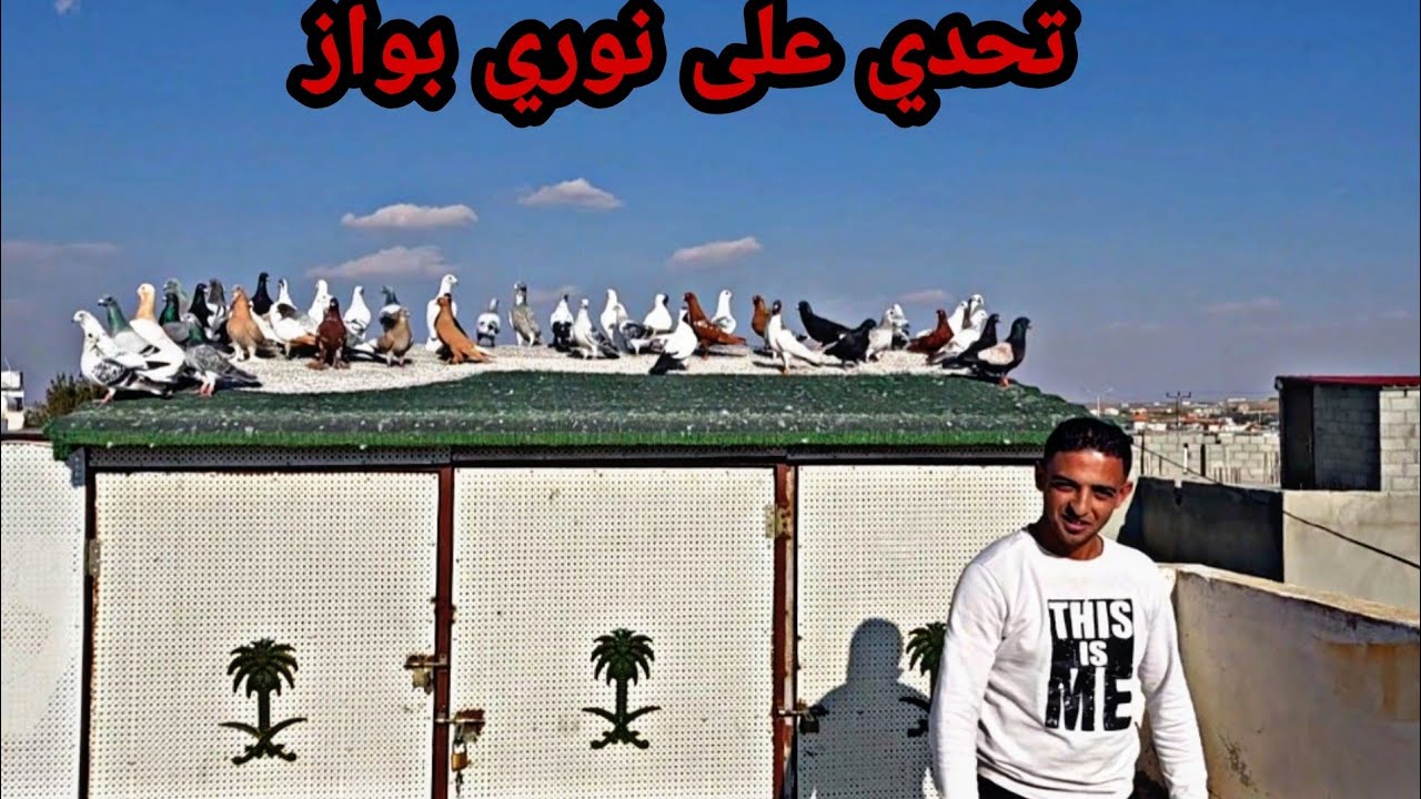 تحدي على نوري بواز يقعد وصارت الصدمة هل قعد ام لا وضلينا ماسكين على طير معروف لليل