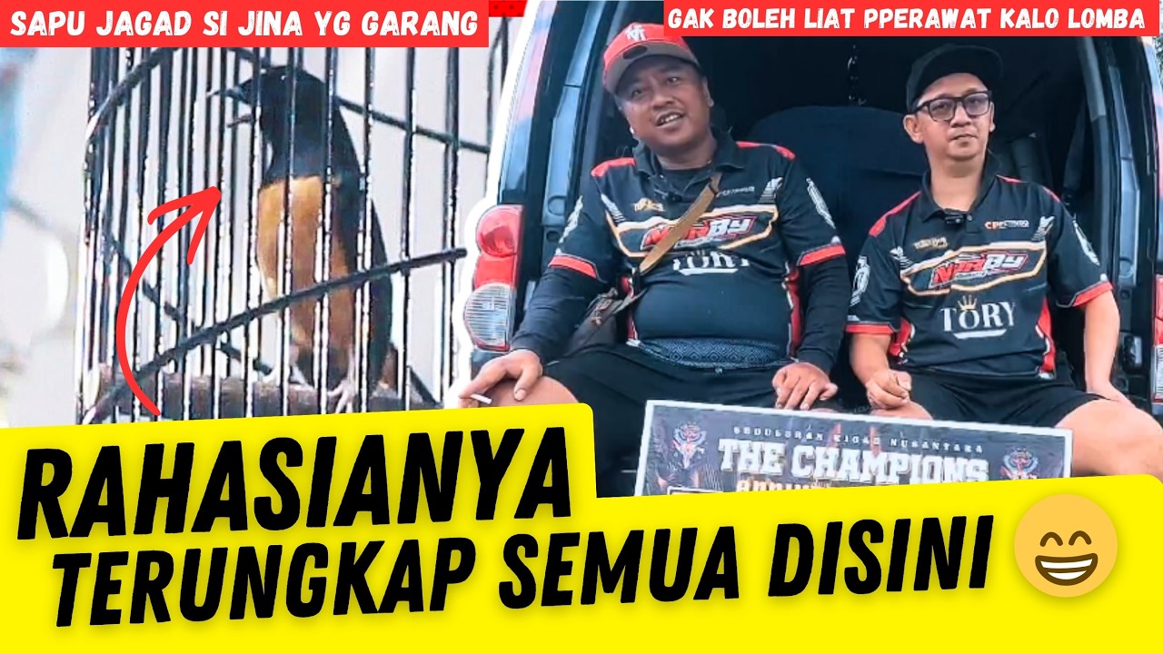 Bongkar Rawatan Murai Kuat 6 sesi Tanpa Zonk ‼️ Murai Sapu Jagad