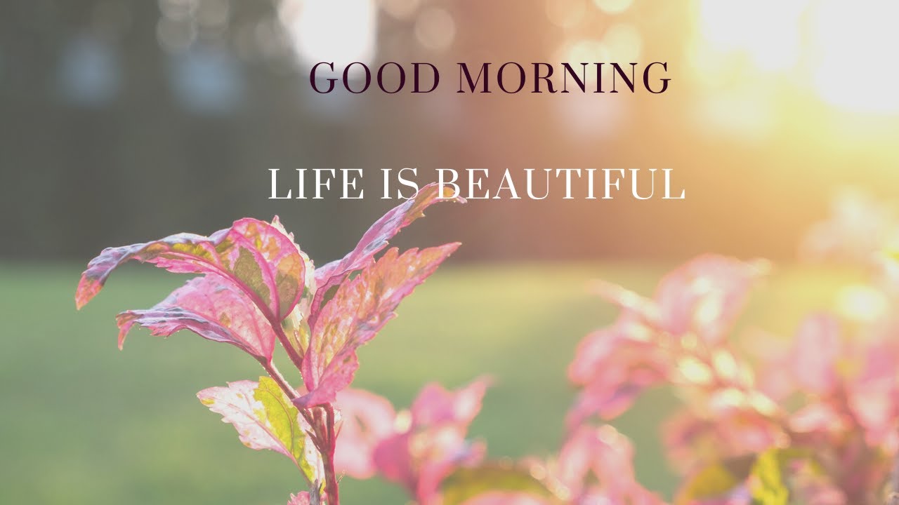 Good Morning Quotes in English | #goodmorningquotes