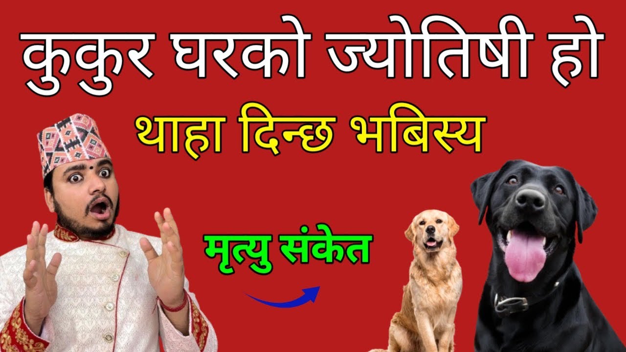 कुकुर घरको ज्योतिषी हो /थाहा दिन्छ भबिस्य/मृत्यु शुभ अशुभ संकेत,shreeguru