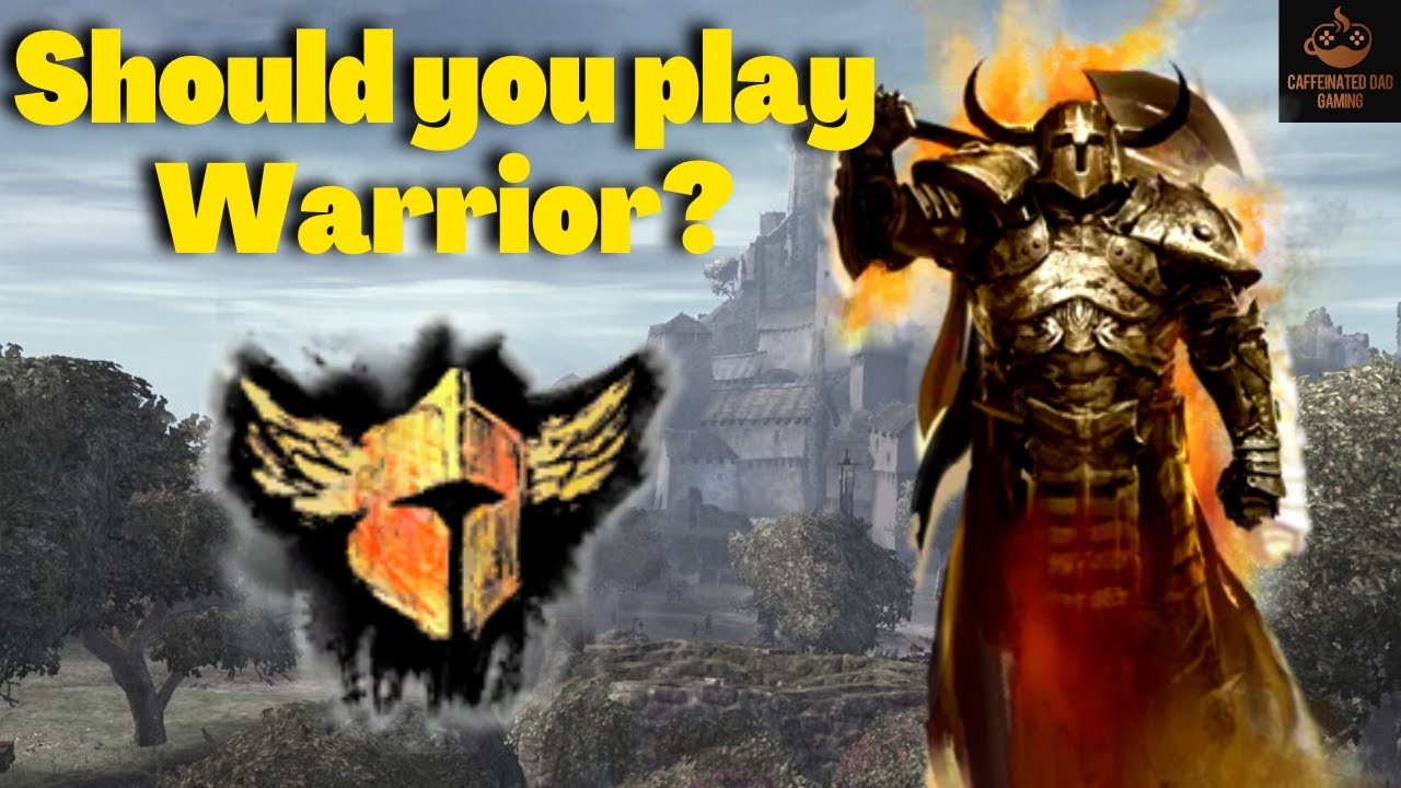 Warrior Profession Spotlight - Guild Wars 2 Guide, Overview, and Build