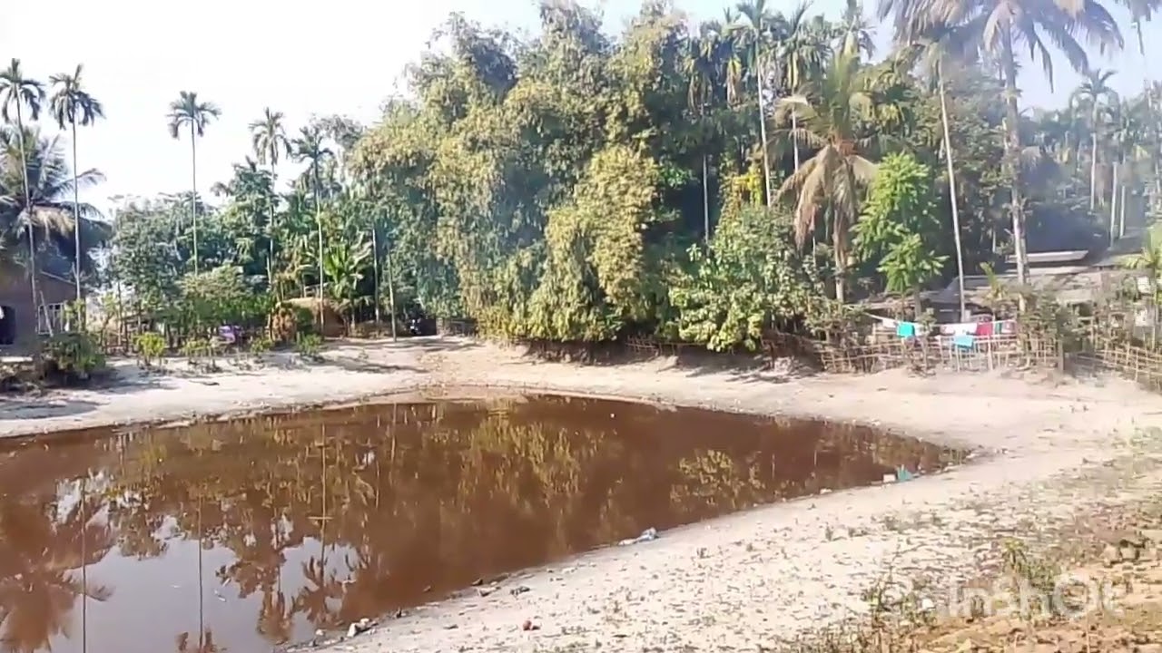 চেঙেলী মালি Village beautiful সেউজ পৰিৱেশ আৰূ ভালুক মালি গাওখন 💓💞💞💞💘