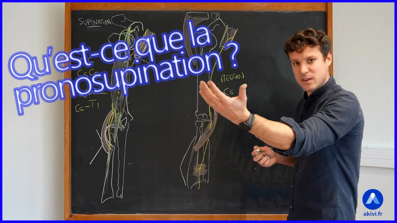 Cours d'anatomie sur la pronosupination (ou prosupination)