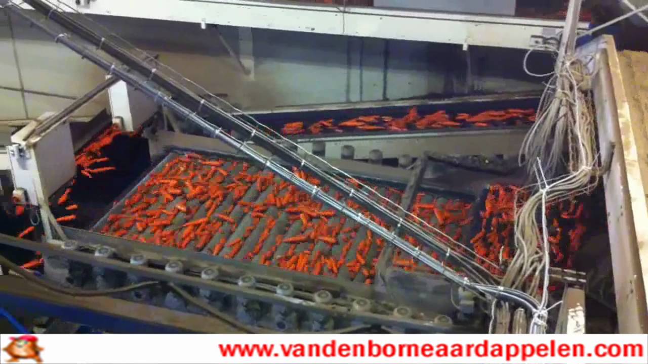 wortelen wassen met 75% tarra