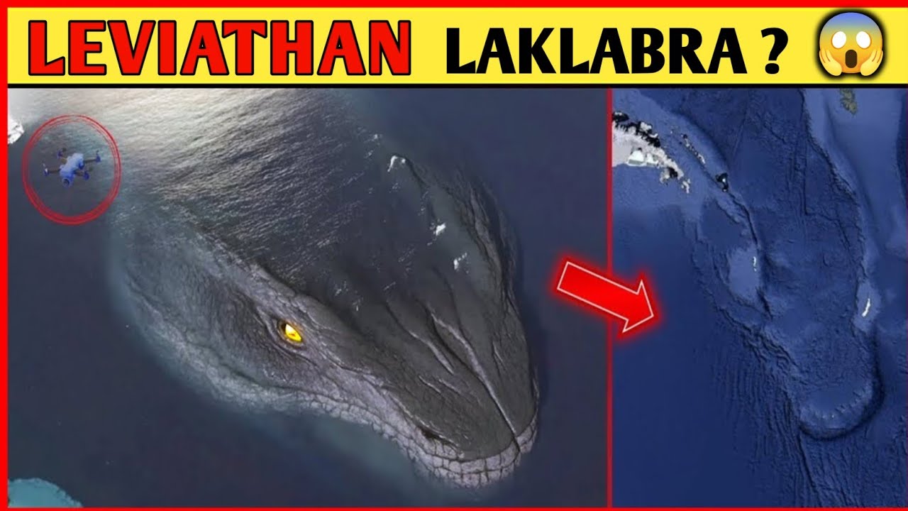 Samudragi King 👑 LEVIATHAN SAFONGLAKLABRA? 😱