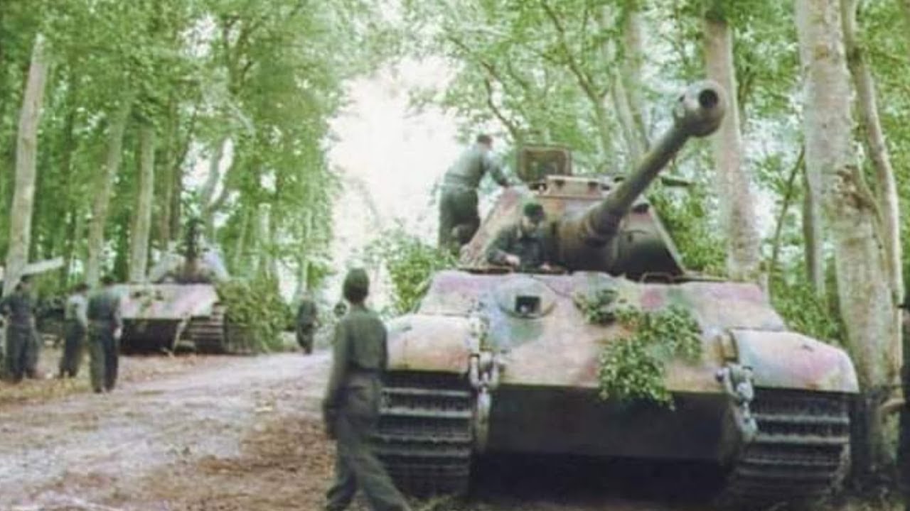 Field Camouflage of the Panzers - Foliage and Camouflage netting on German Tanks