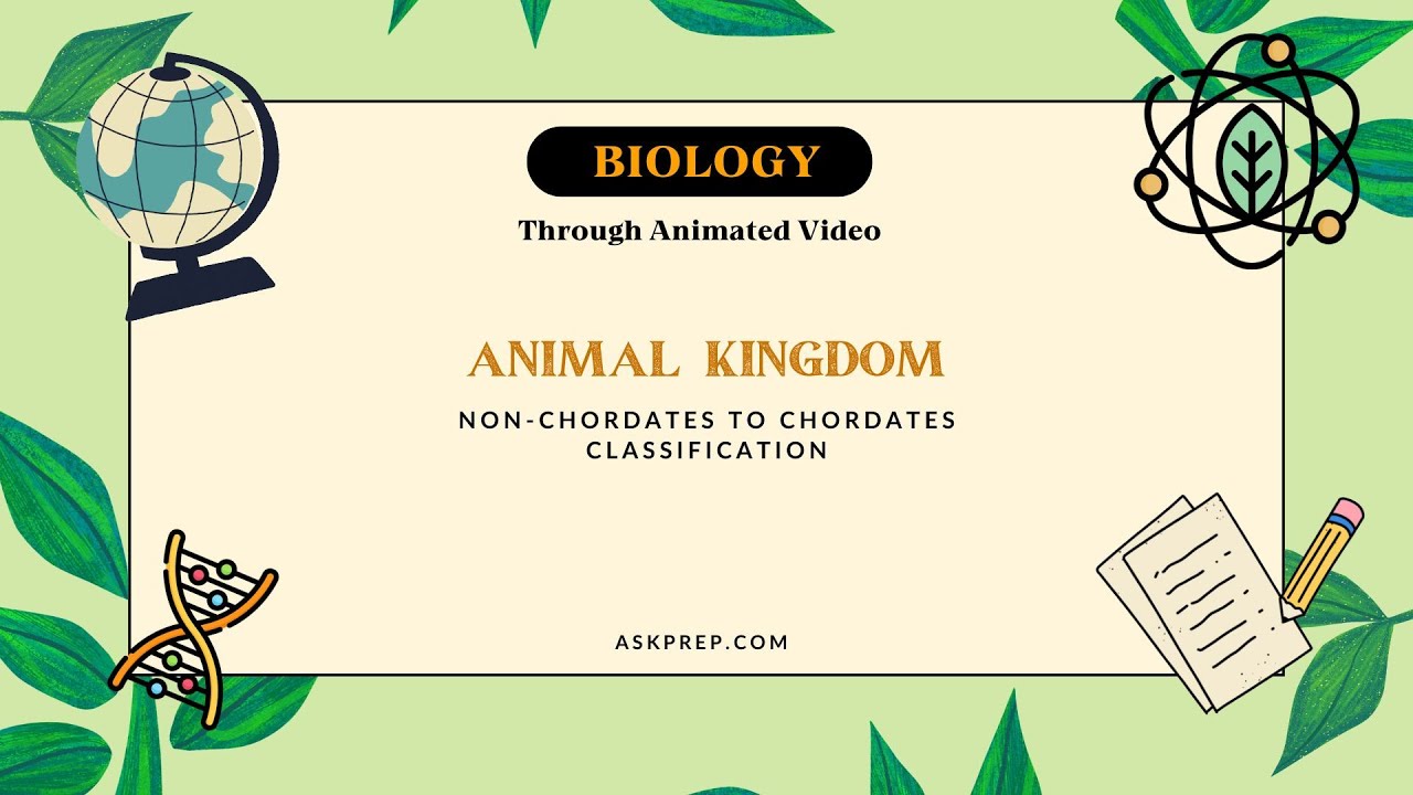 Animal Kingdom Explained | Non-Chordates to Chordates Classification | NEET & Class 11 Biology