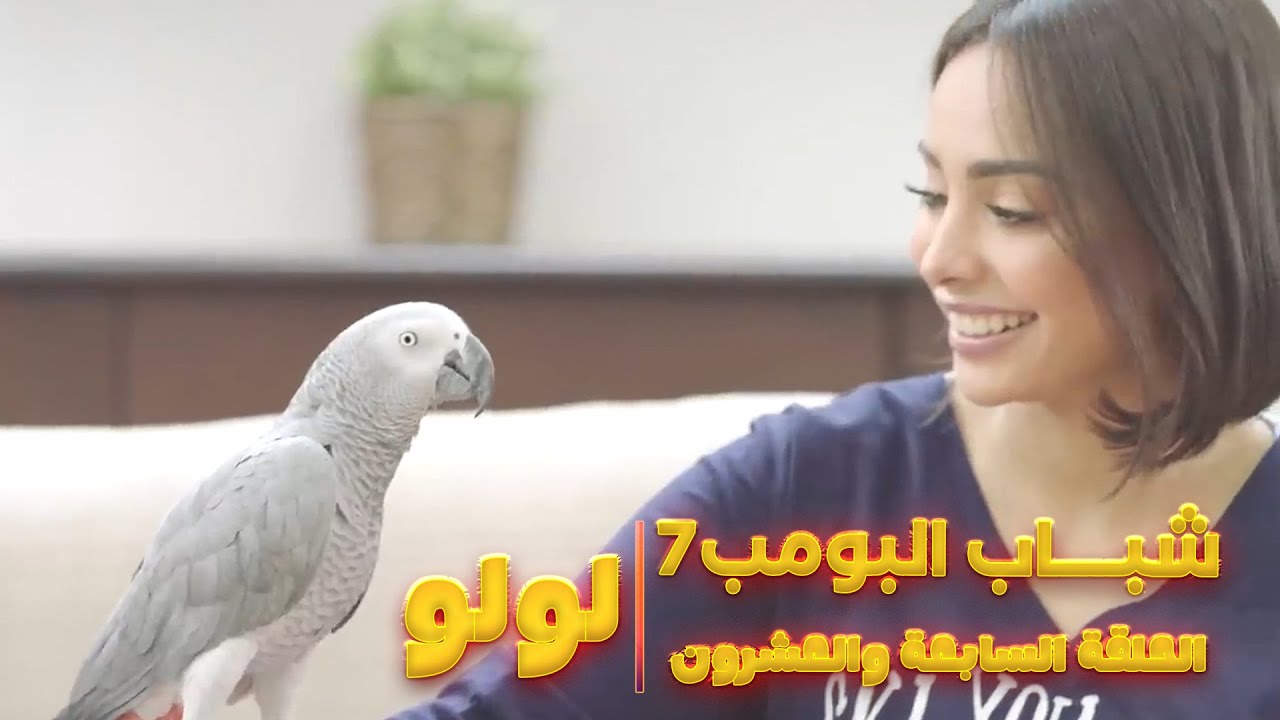 مسلسل شباب البومب 7 - الحلقة السابعة والعشرون 