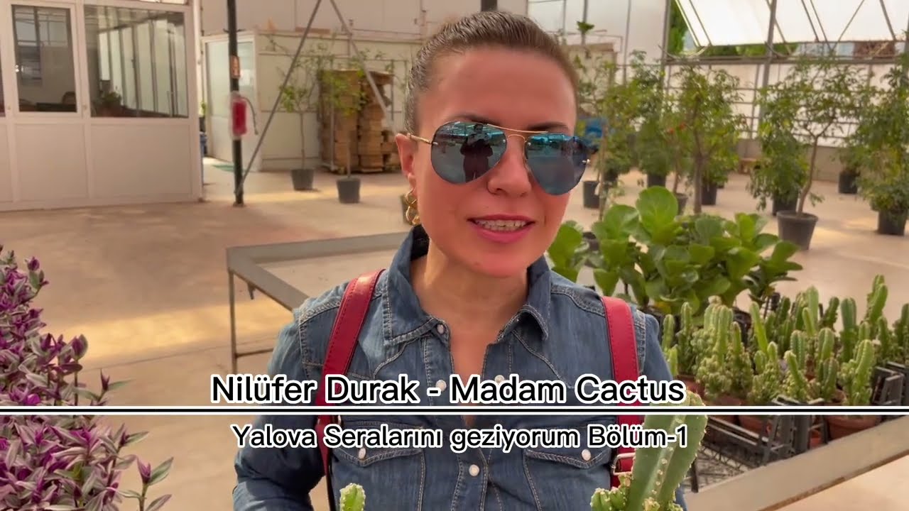 YALOVA SERALARINI GEZİYORUM BÖLÜM-1 GÜNEY ÇİÇEKÇİLİK #greenhouse #vlog #yalova #türkiye #flowers