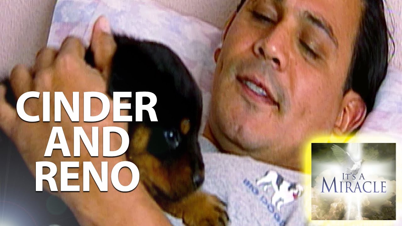 Синдер и Рено — Это чудо