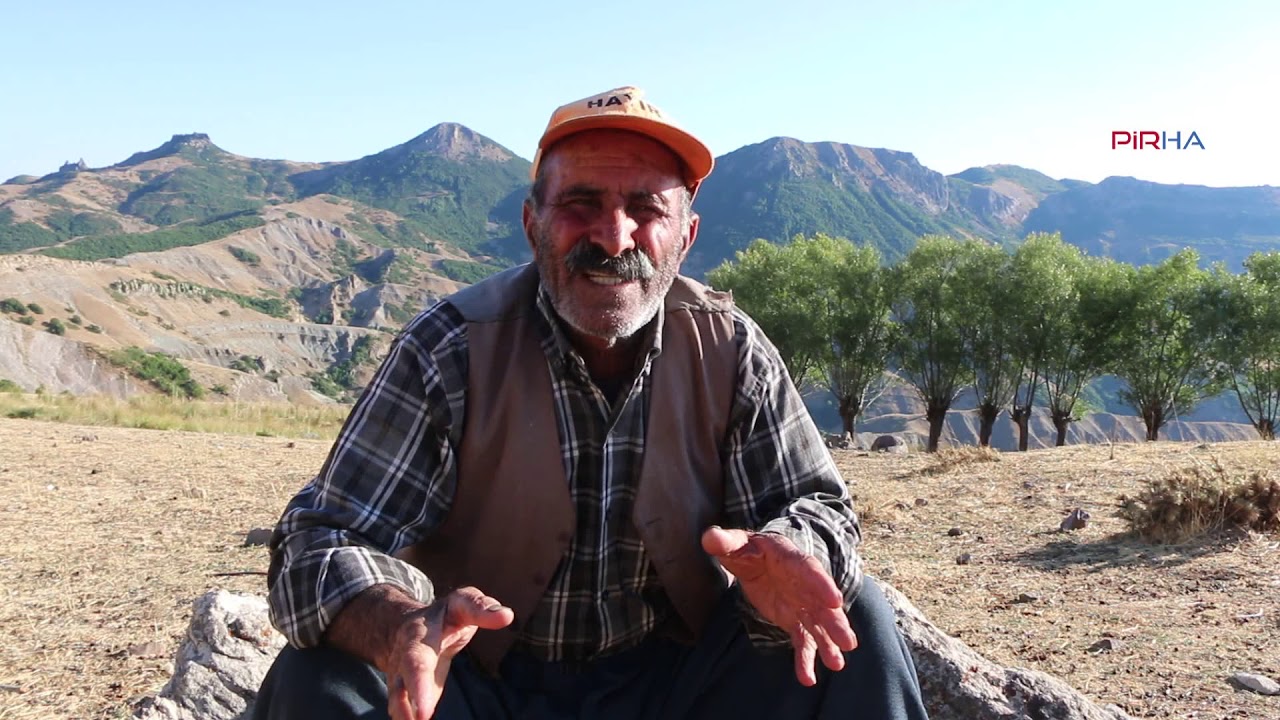 Sarısaltık tüm alemindir