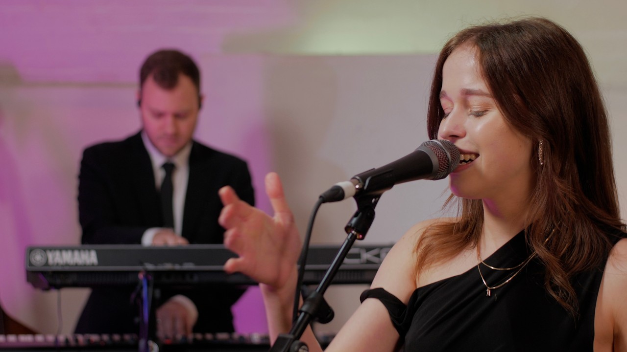 Introducing Gecko Groove | UK Wedding, Corporate & Party Band